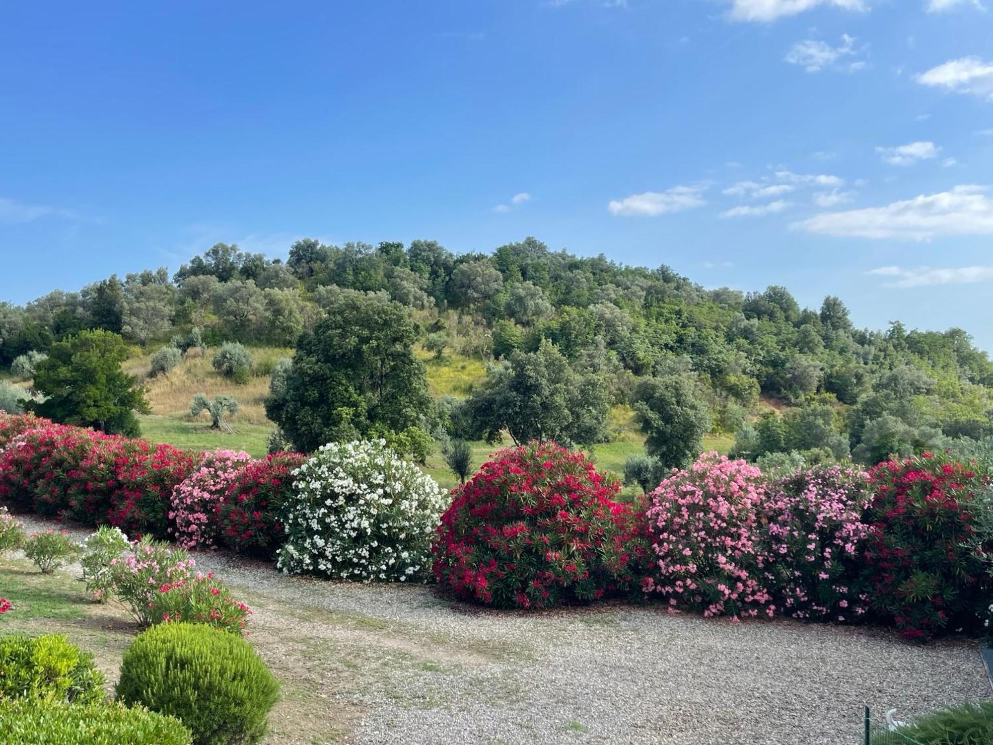 Tenuta Montemassi Podere Montauzzo Exterior foto